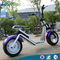40-50km / H 2 Wheel Electric Scooter Dengan Big Wheels / Mode Kota Scooter Dengan Brushless Hub Bermotor pemasok